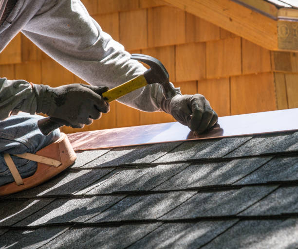 Roof Gutter Cleaning in Pelzer, SC